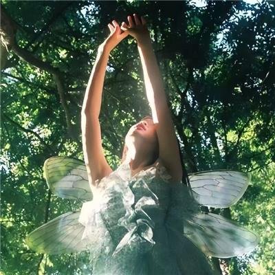 媳妇的全盛时代